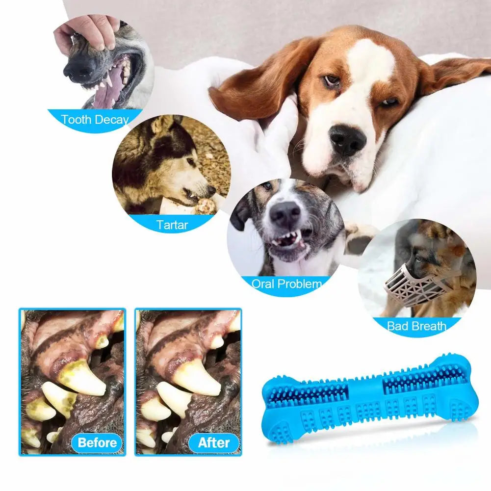 Transform Your Dog’s Smile – 360° Soft Rubber Toothbrush & Chew Toy